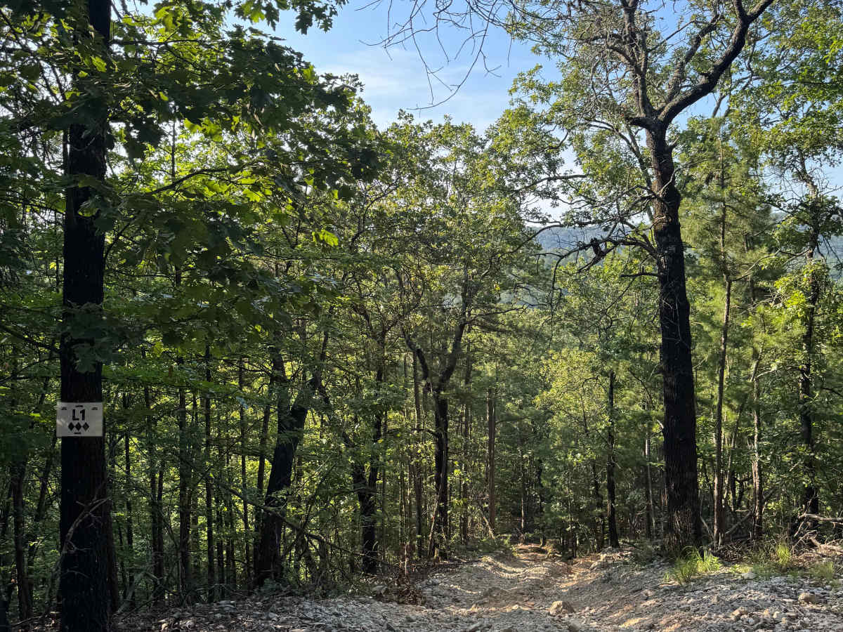 L1 trail photo