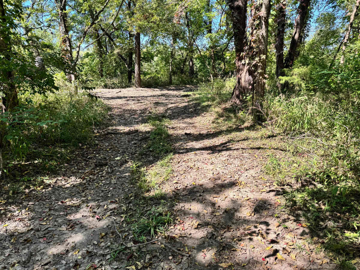Willys Whoops trail photo