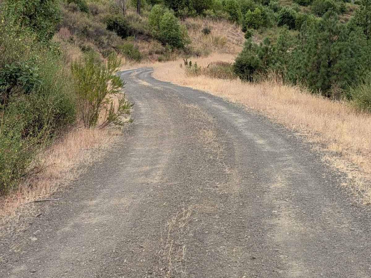 Grapevine Creek Road - FS 4N20 photo 2
