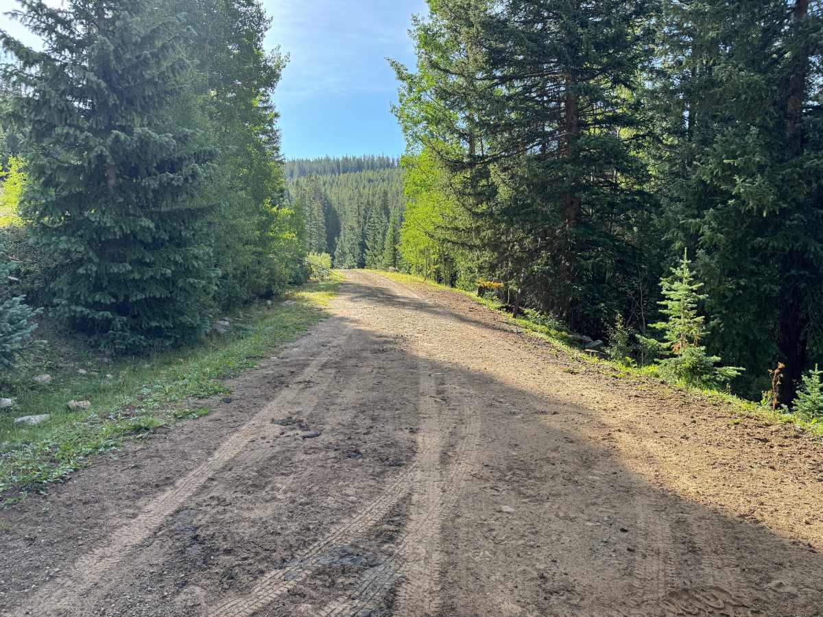 General Taylor Road trail photo