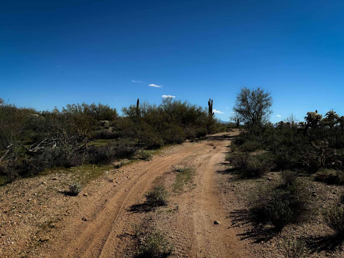 Cholla Way  photo 2