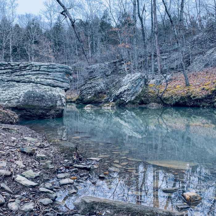 Near Indian Kitchen Loop Near Indian Kitchen Loop