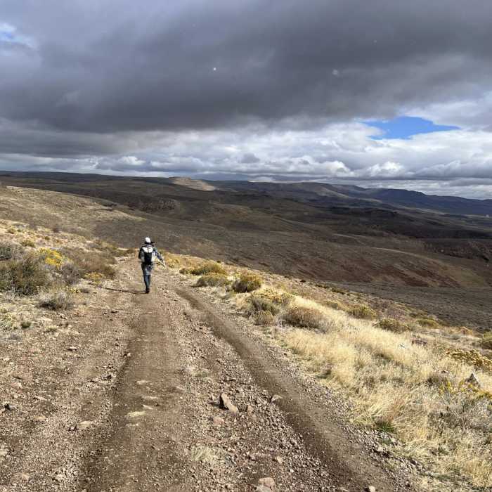 Near Fifteen Mile Road