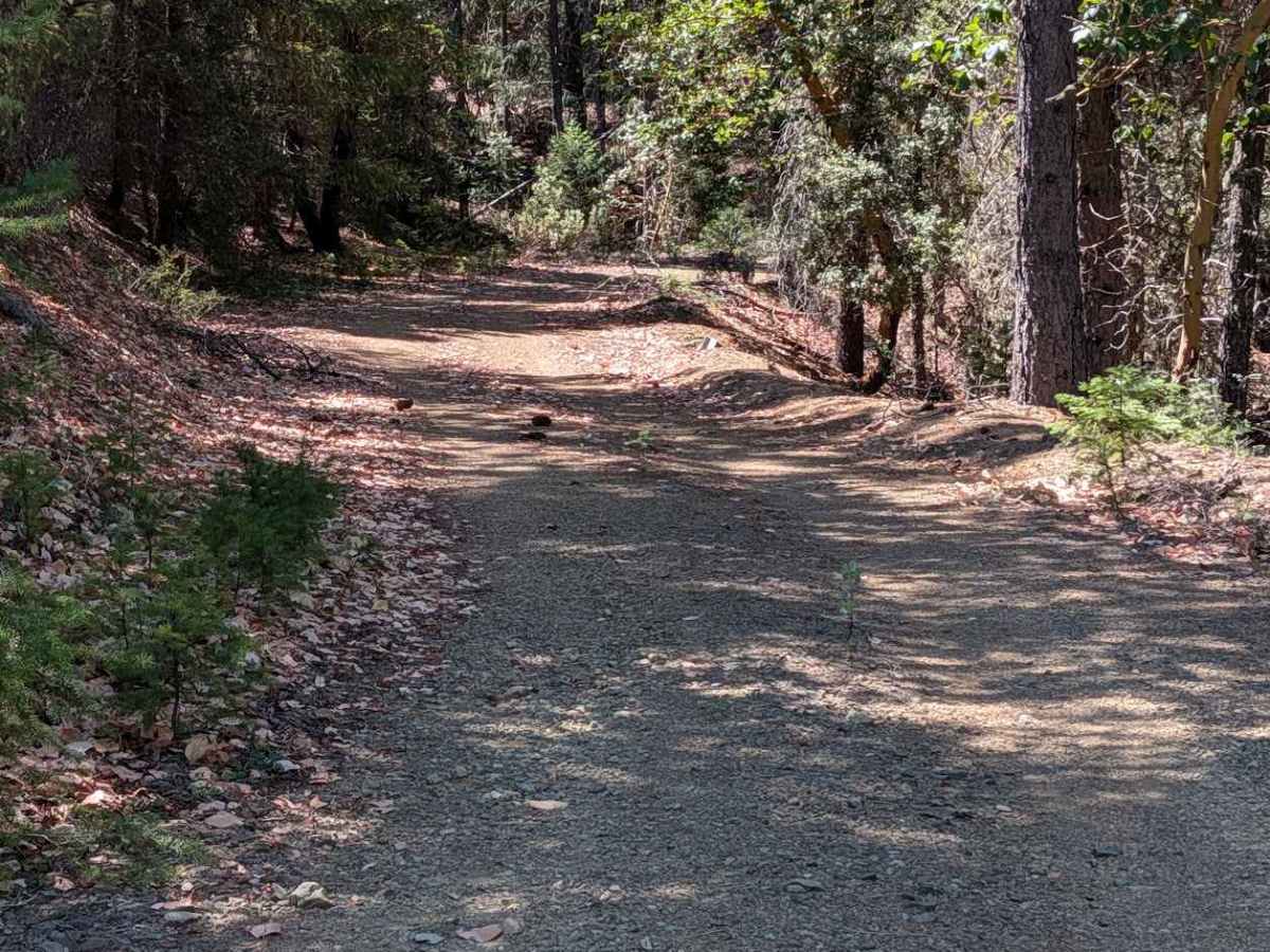 Blue Gulch Road - FS 30N25 photo 5