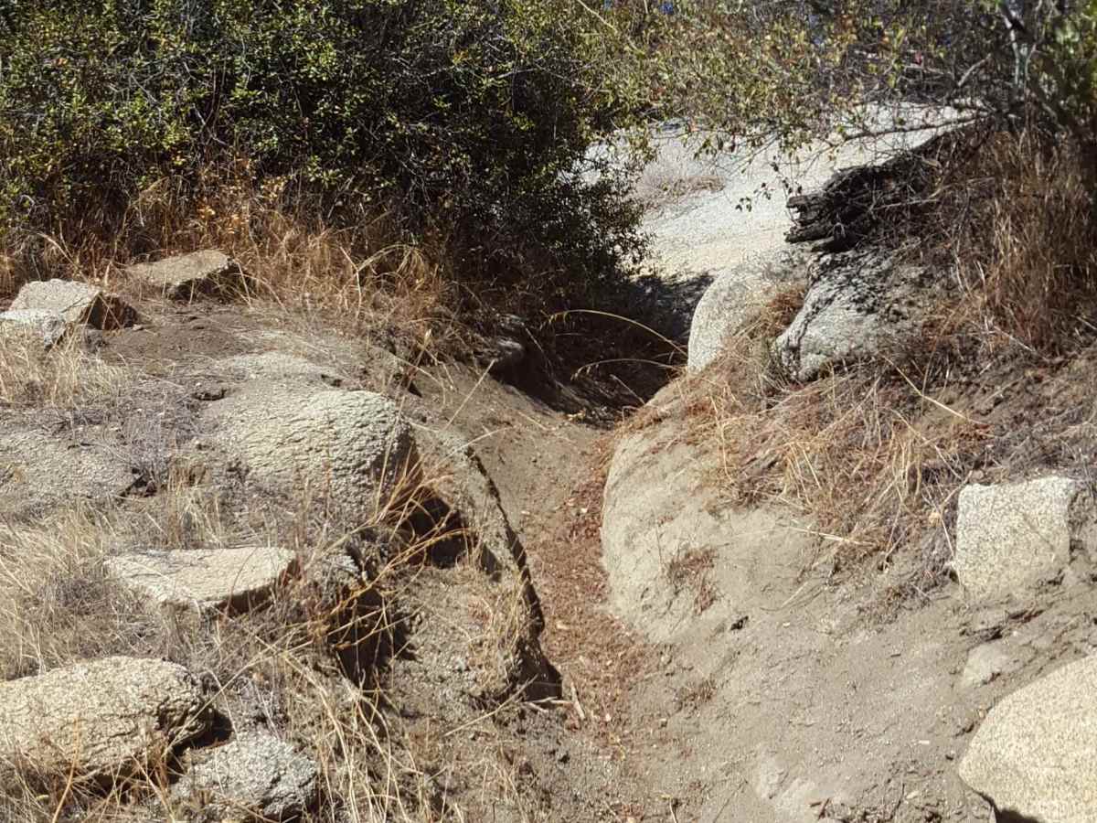 Sodbuster - Trail 9 photo 4