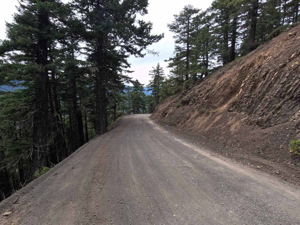 Deer Park Road photo 3