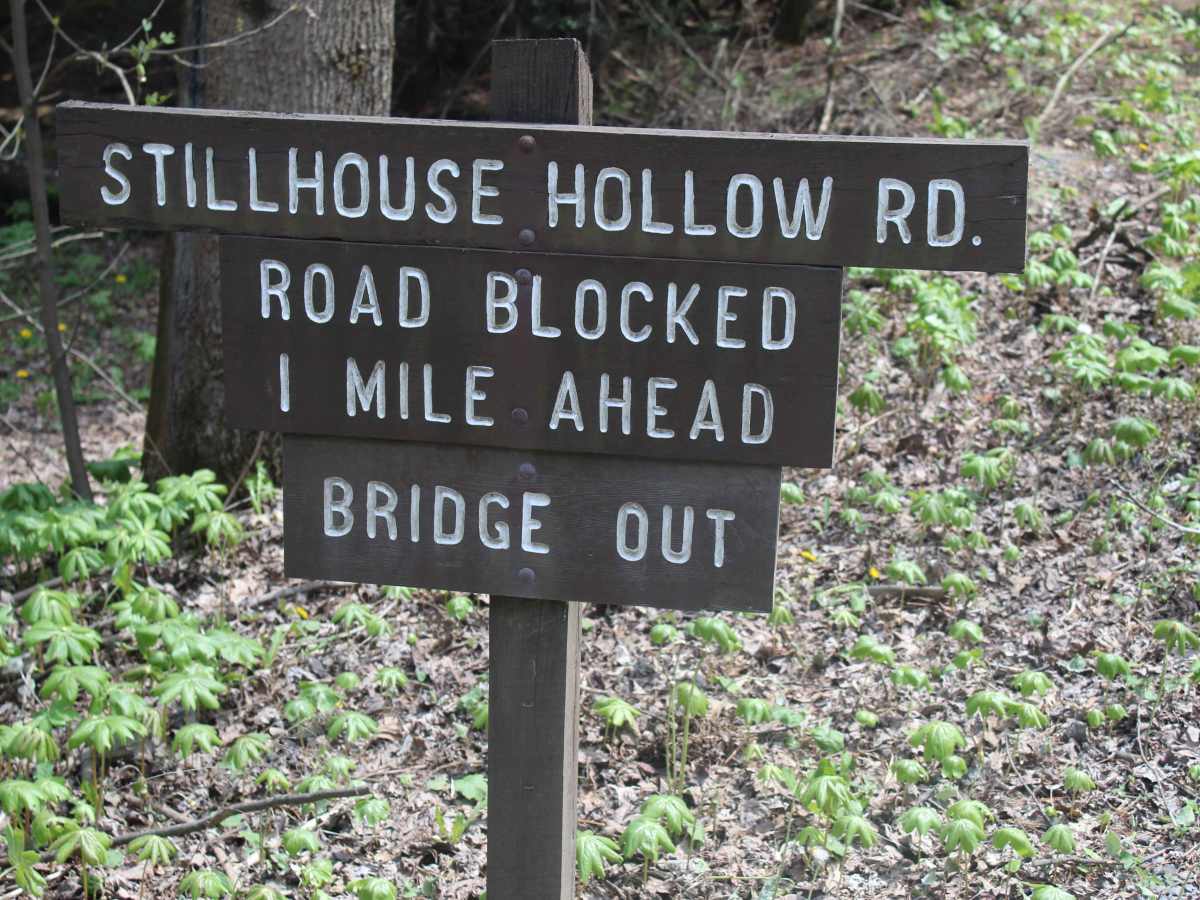 Stillhouse Hollow Trail trail photo
