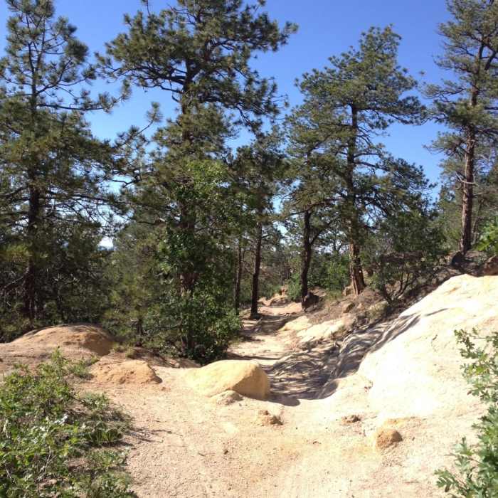 Slickrock section of the Grandview Trail Near Kinnickinnick Trail