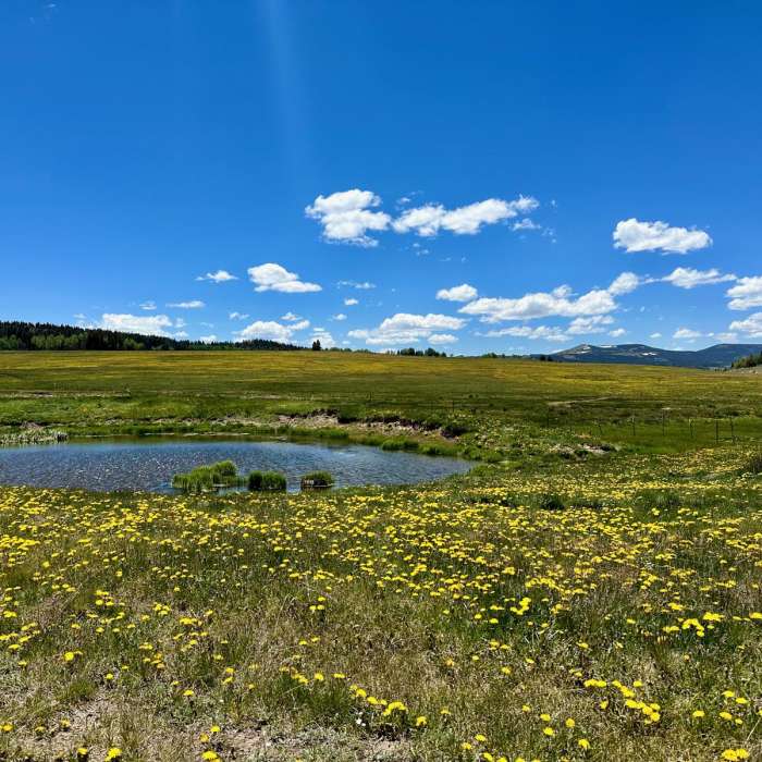 Near Continental Divide Trail: New Mexico Section 30