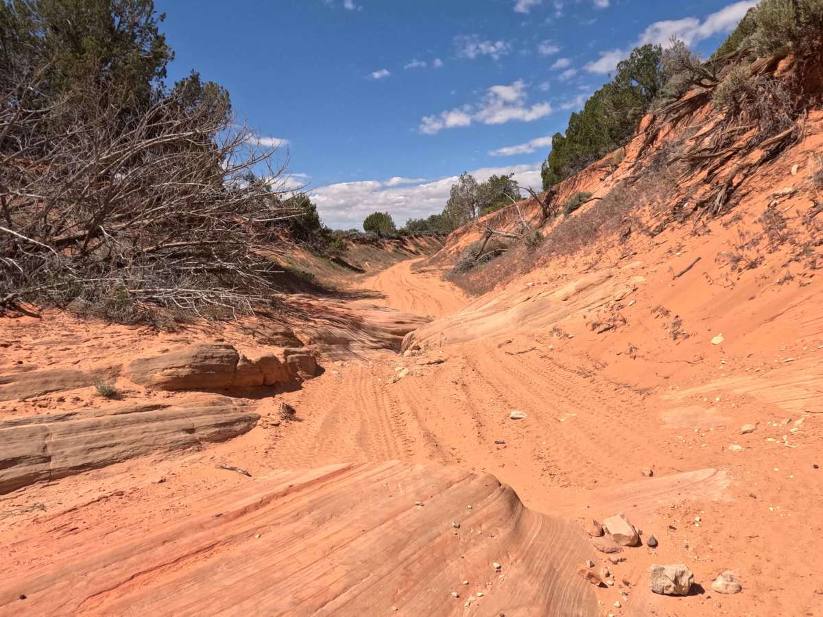 BLM 32k trail photo