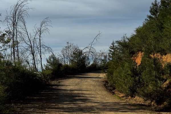 Bear Creek Road M10