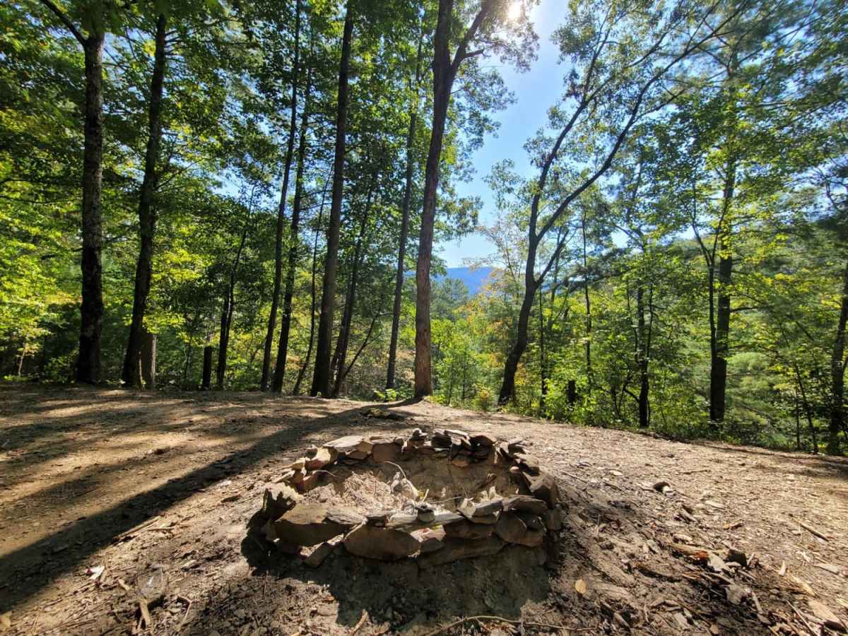 Cohutta Wilderness photo 6