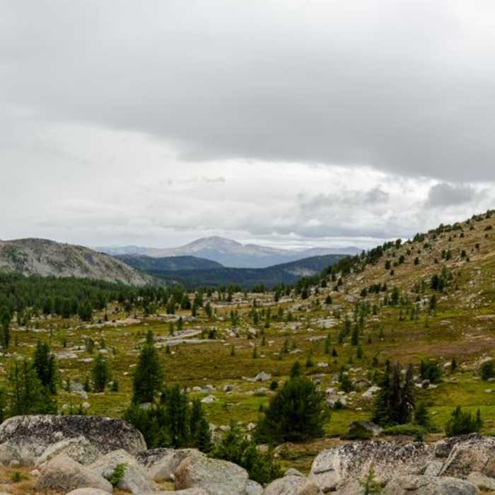 Near Pacific Northwest National Scenic Trail Section 9