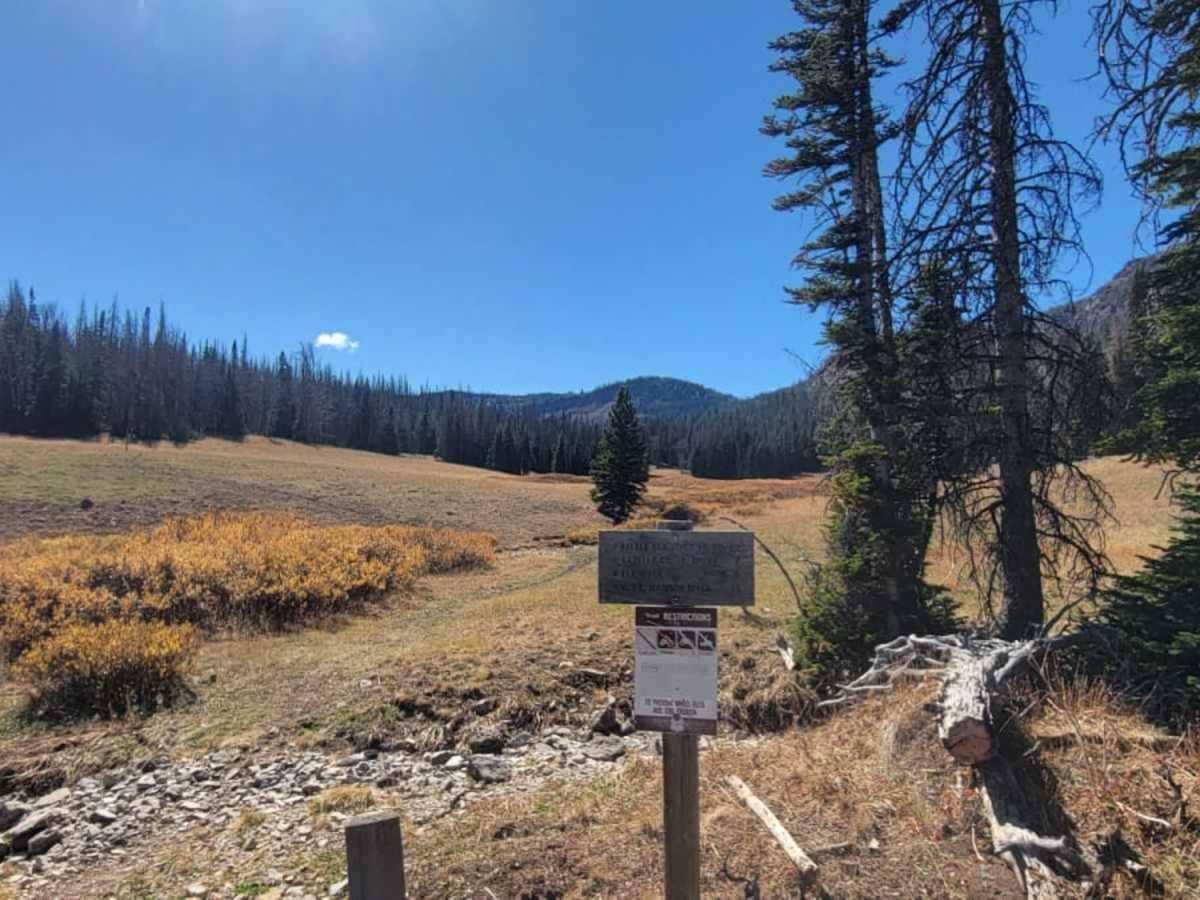 Standard Creek Rd w/Wolverine Basin photo 3