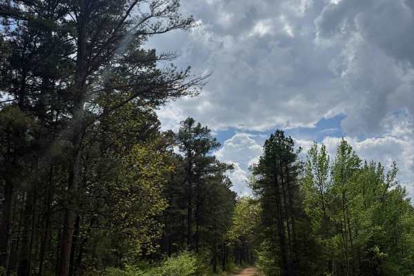 Shores Lake Dam Loop