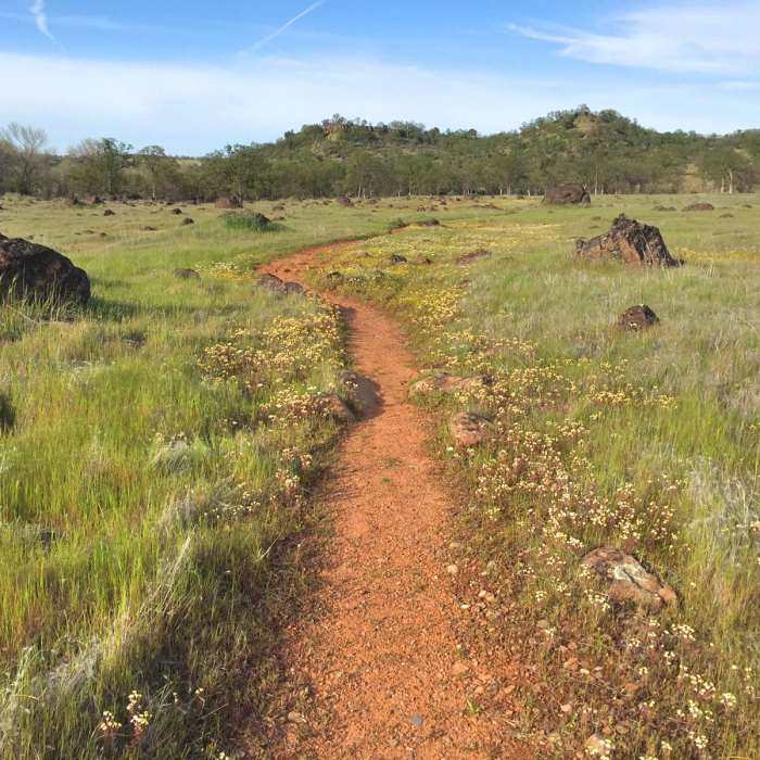 Near Yana Trail: Perry Riffle to Massacre Flat