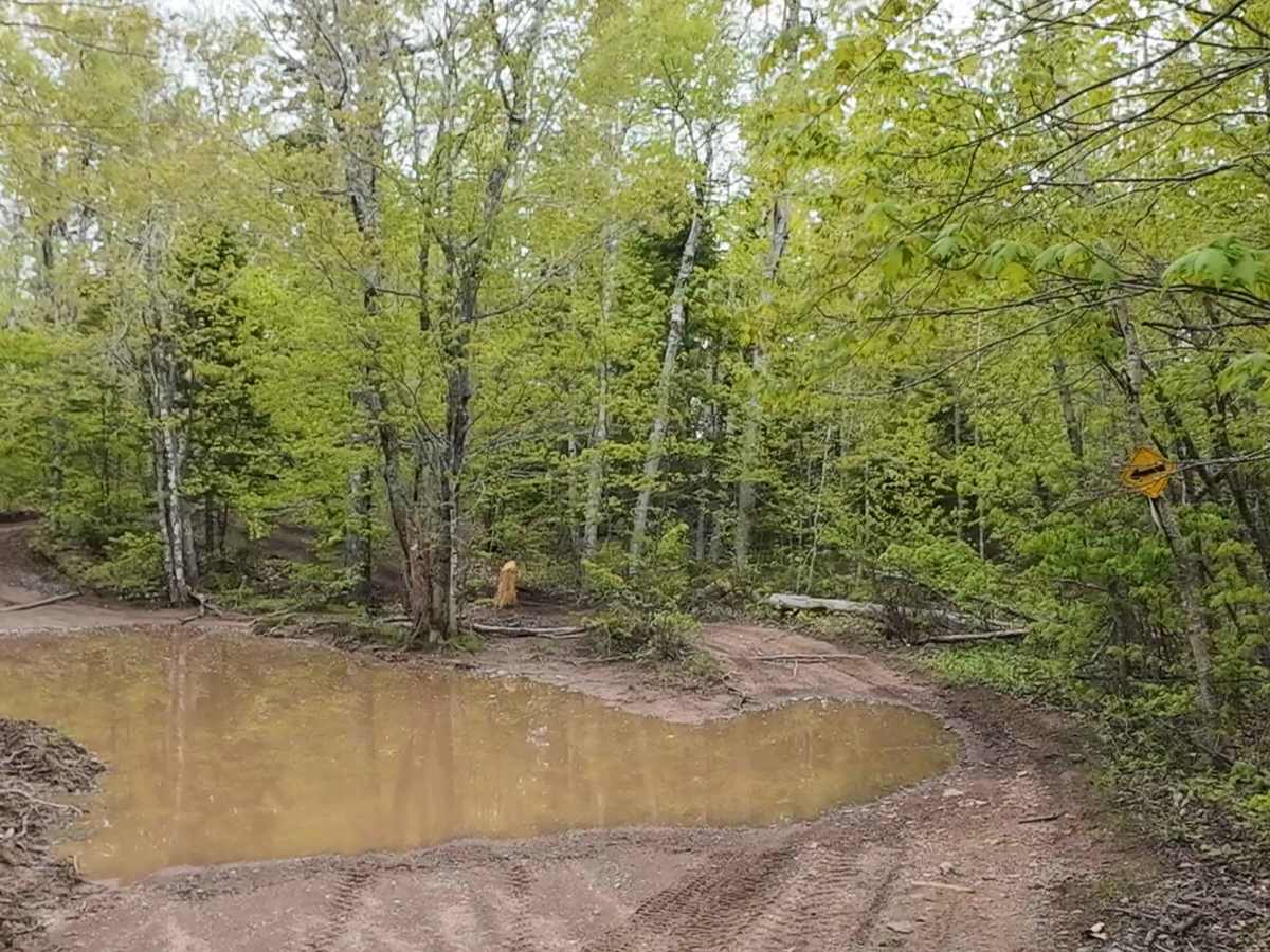 Prosser Brook Lookout photo 3