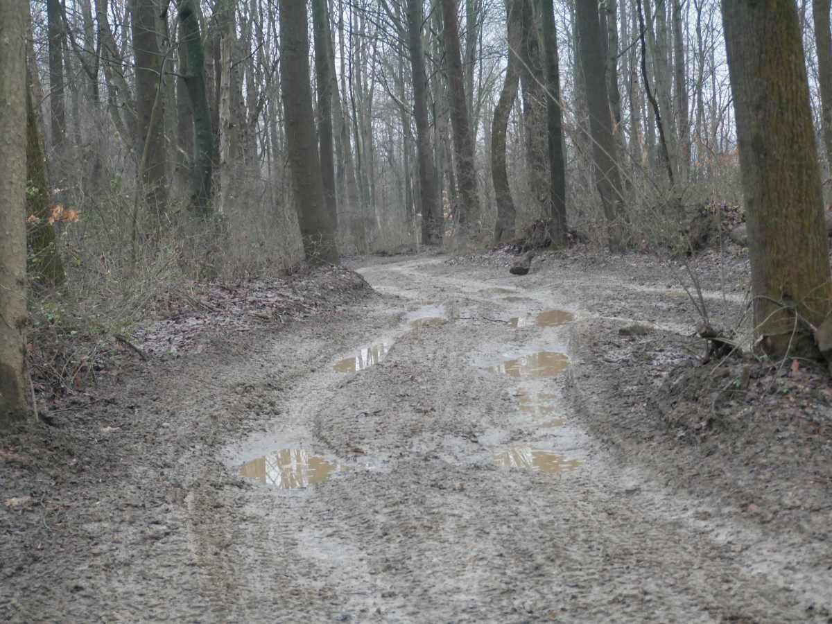Trail 18 photo 4