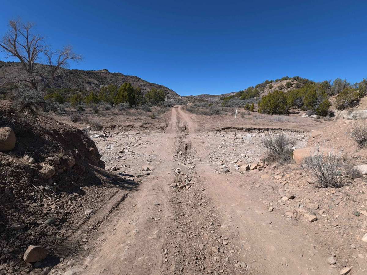 BLM V 3/10 photo 5