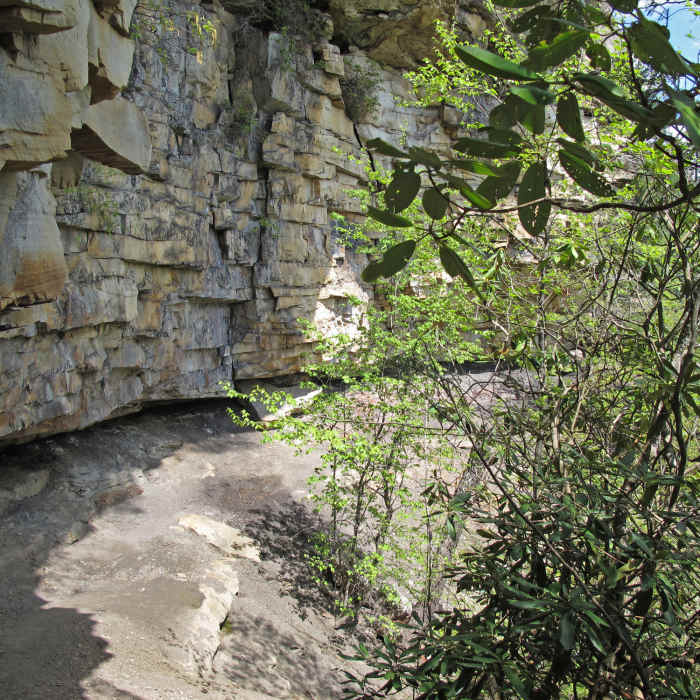 Near Castle Rock Trail