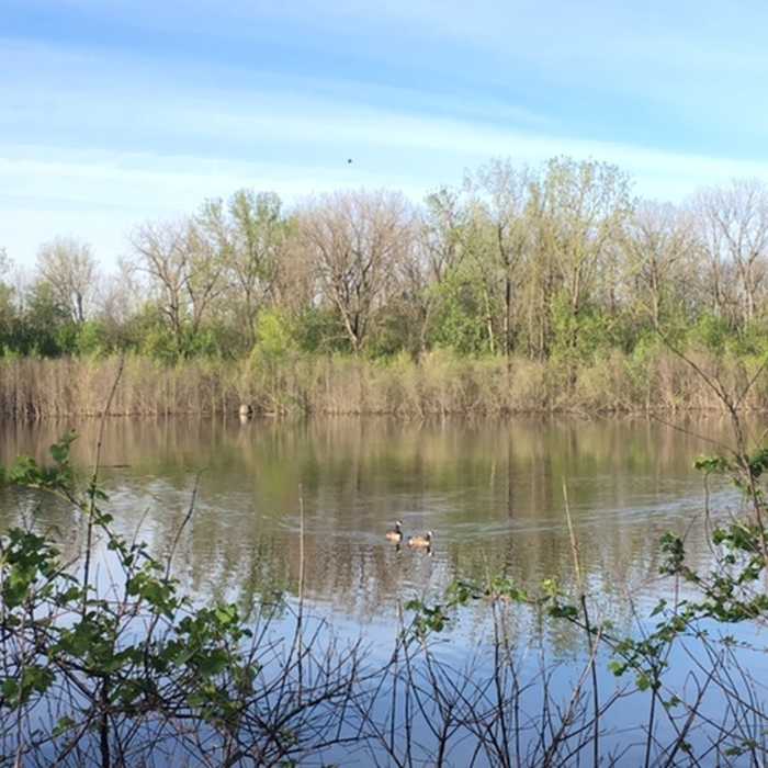 Near Gilmore Ponds Loop