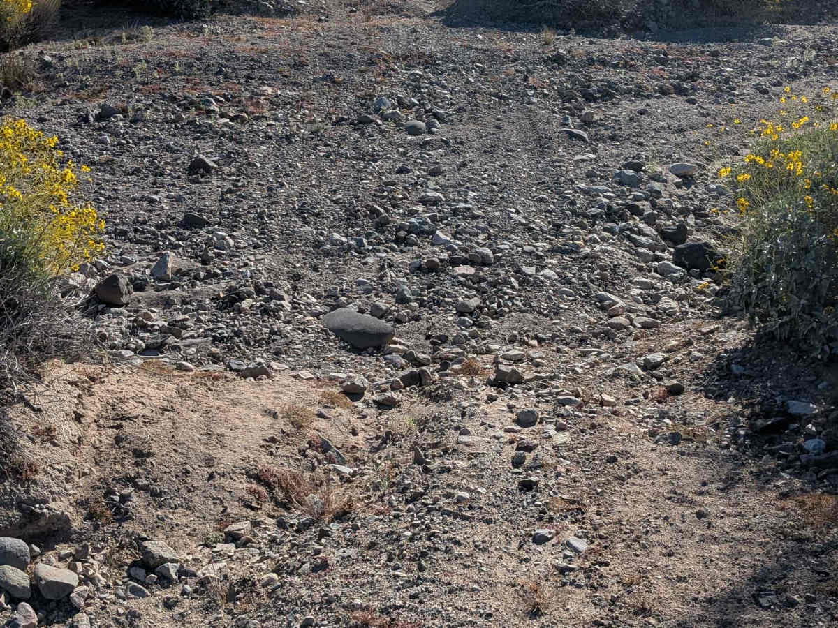 BLM 636 Cut Off photo 6