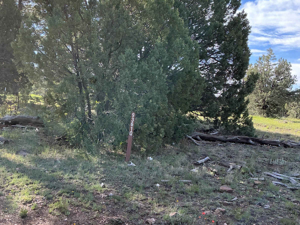 FS 9361Q photo 2