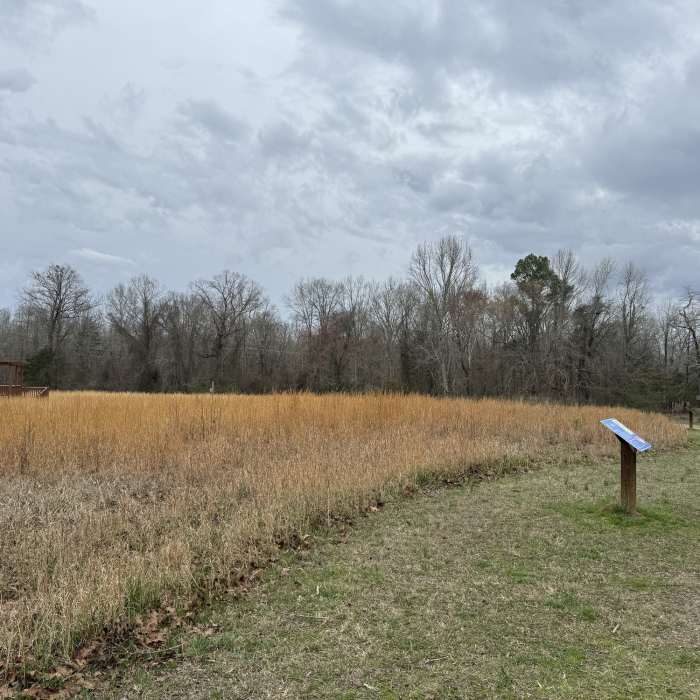 Near Star Walk Trail