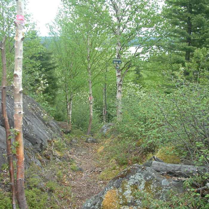 Near Snowshoe Trail A2