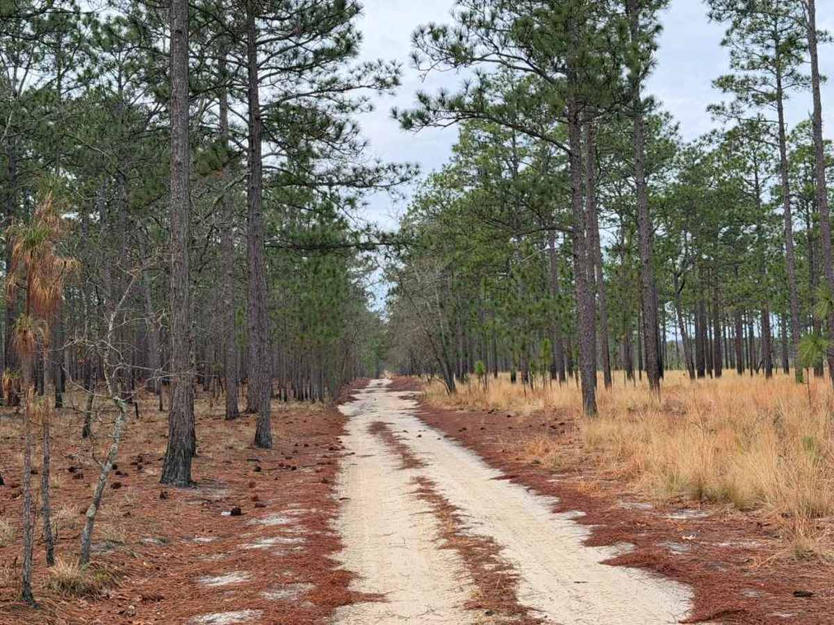 Carpenter Road photo 4