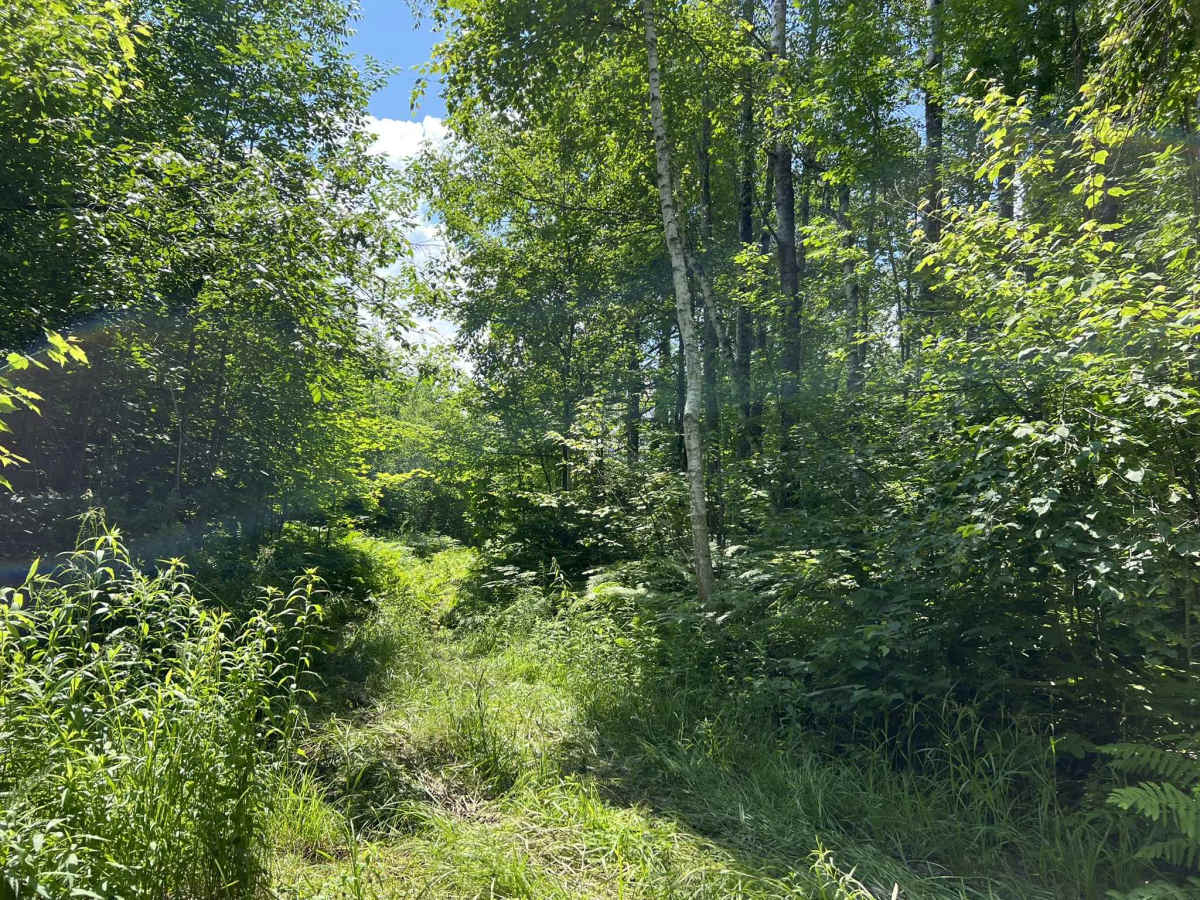 Forest County ATV/ SxS 8 Mile Loop Trail 1 Bypass trail photo