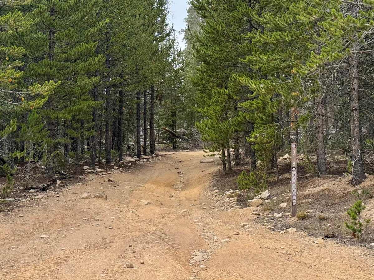 Nunn Creek Cutoff Road photo 2