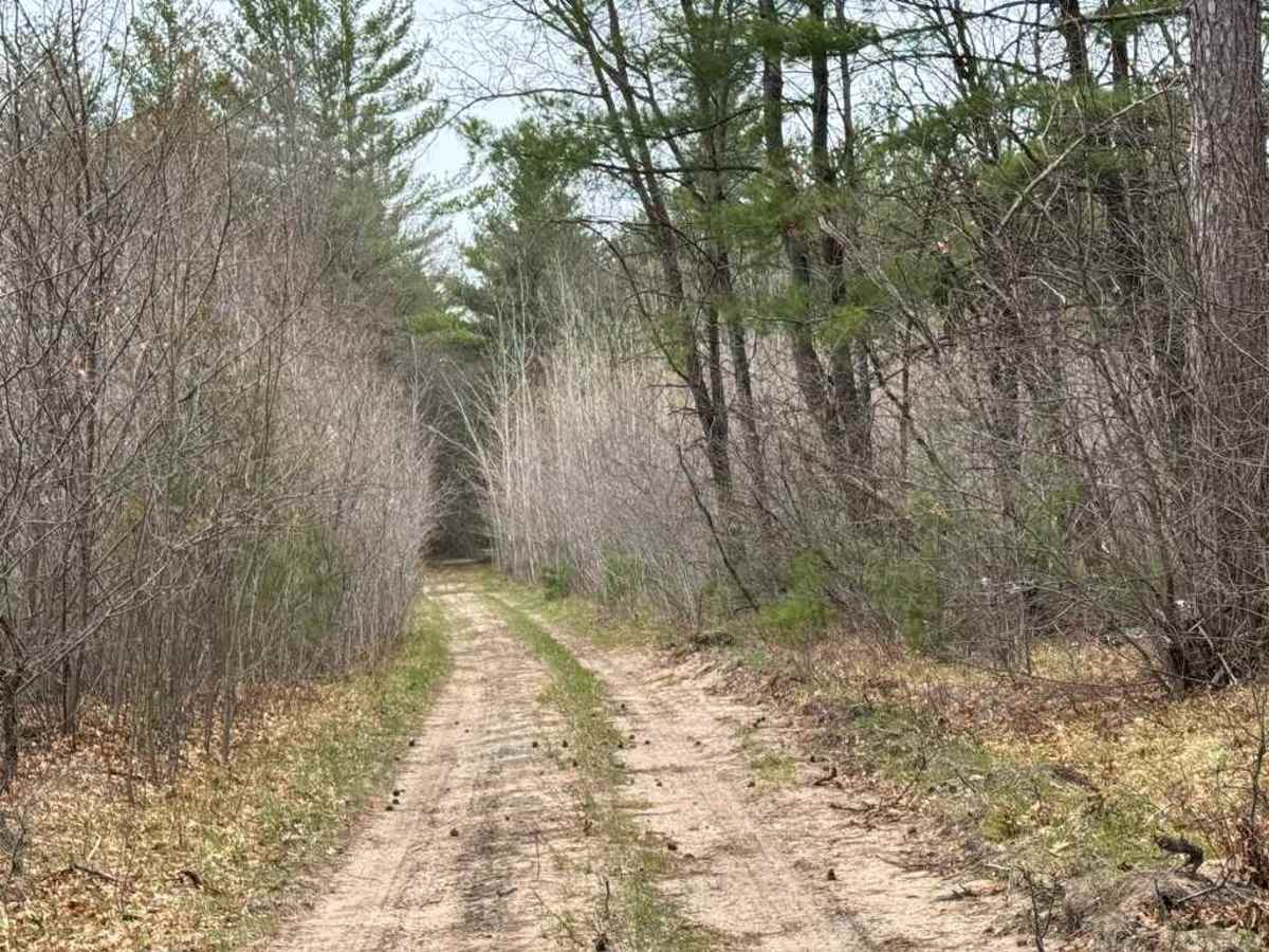 Saunter Trail photo 5