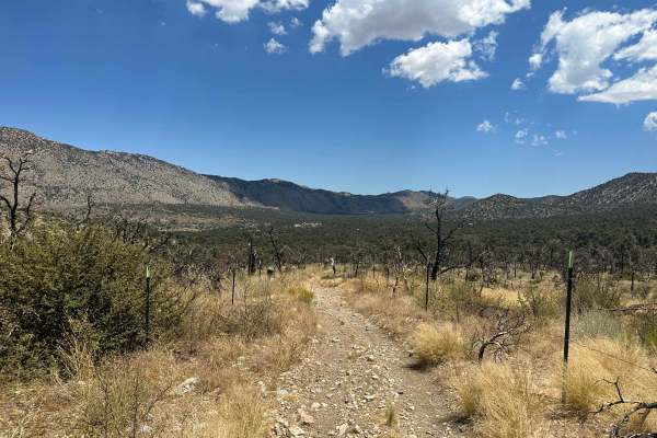 Pinyon & Vista Trail Loop - FS 2E20
