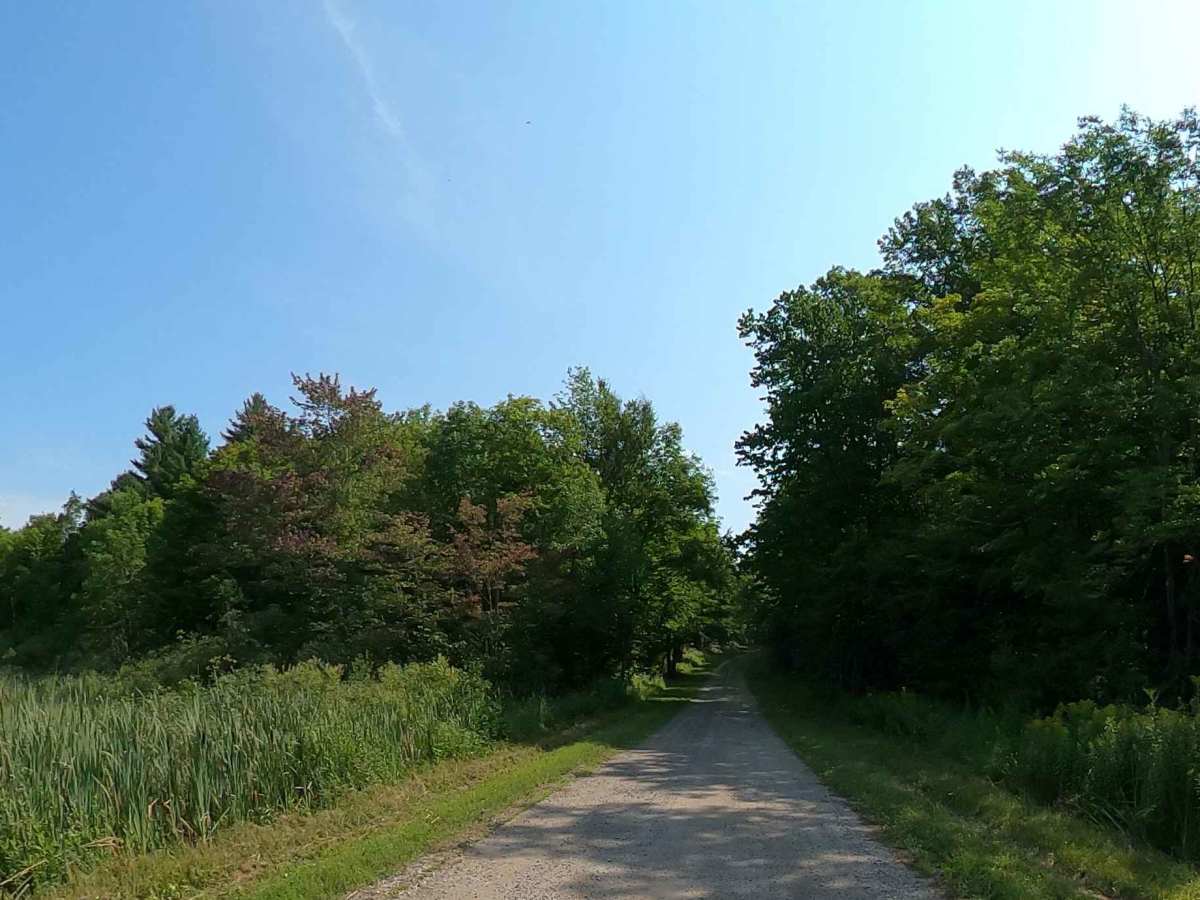 Donnerville Road photo 4