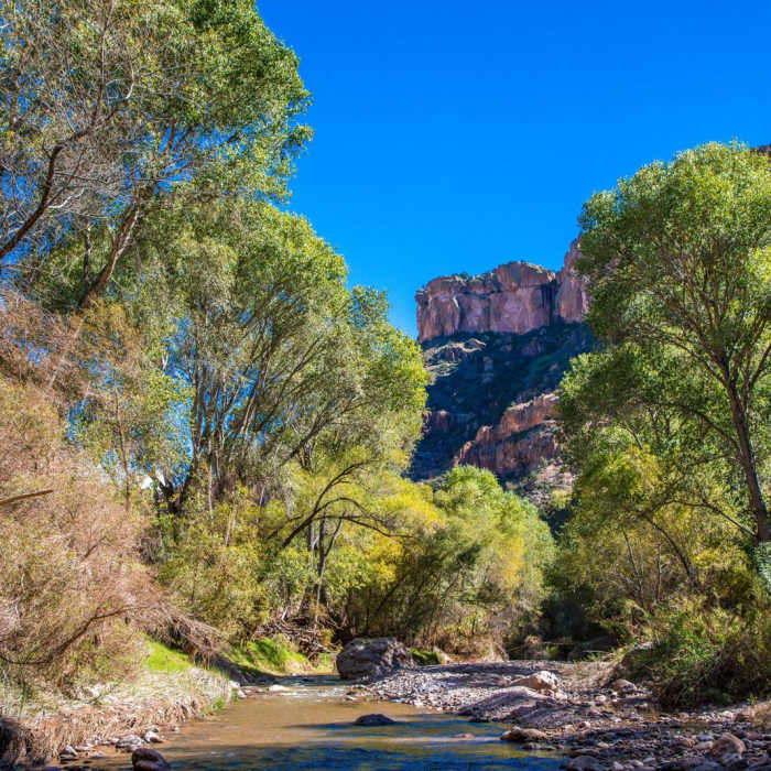 Near Aravaipa Canyon Trail