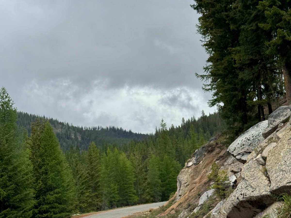 Beaver Summit Road - FS 4230 photo 4