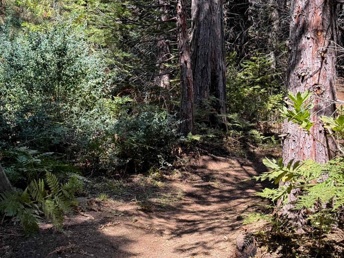23E291 photo 4