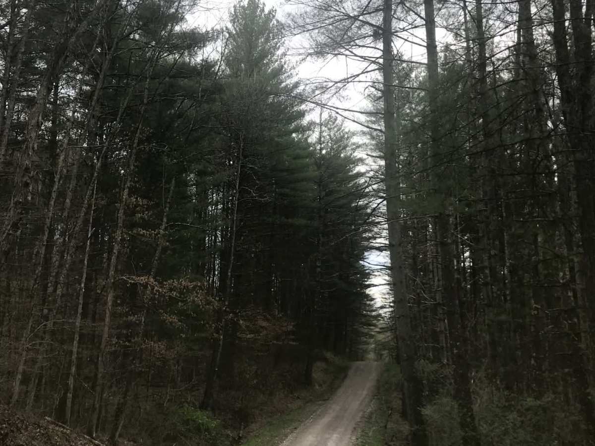 Dixie trail photo