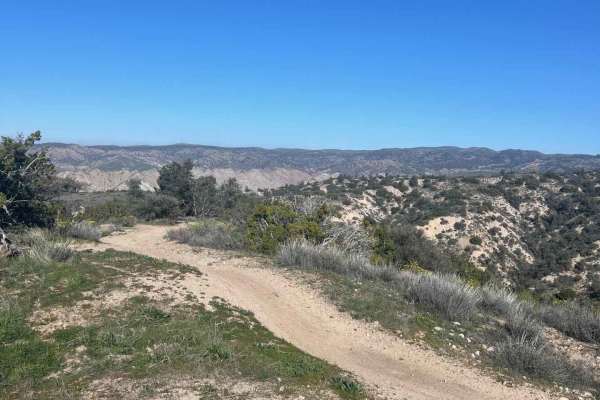 Trail 29