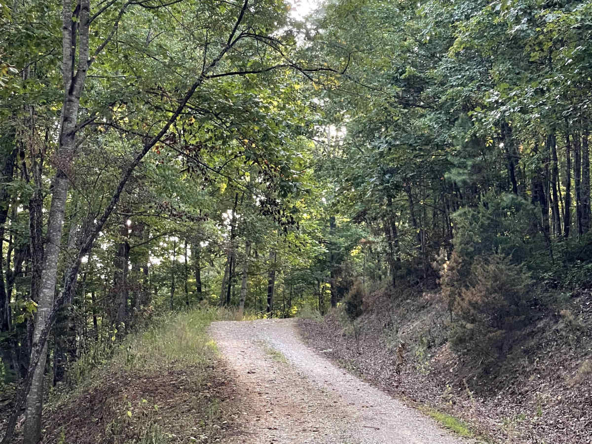 Mill Creek Road photo 2
