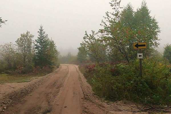 Cut River/Brevoort River Trail (ORV Route A)