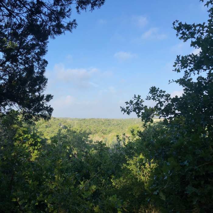 Near Ridge Trail