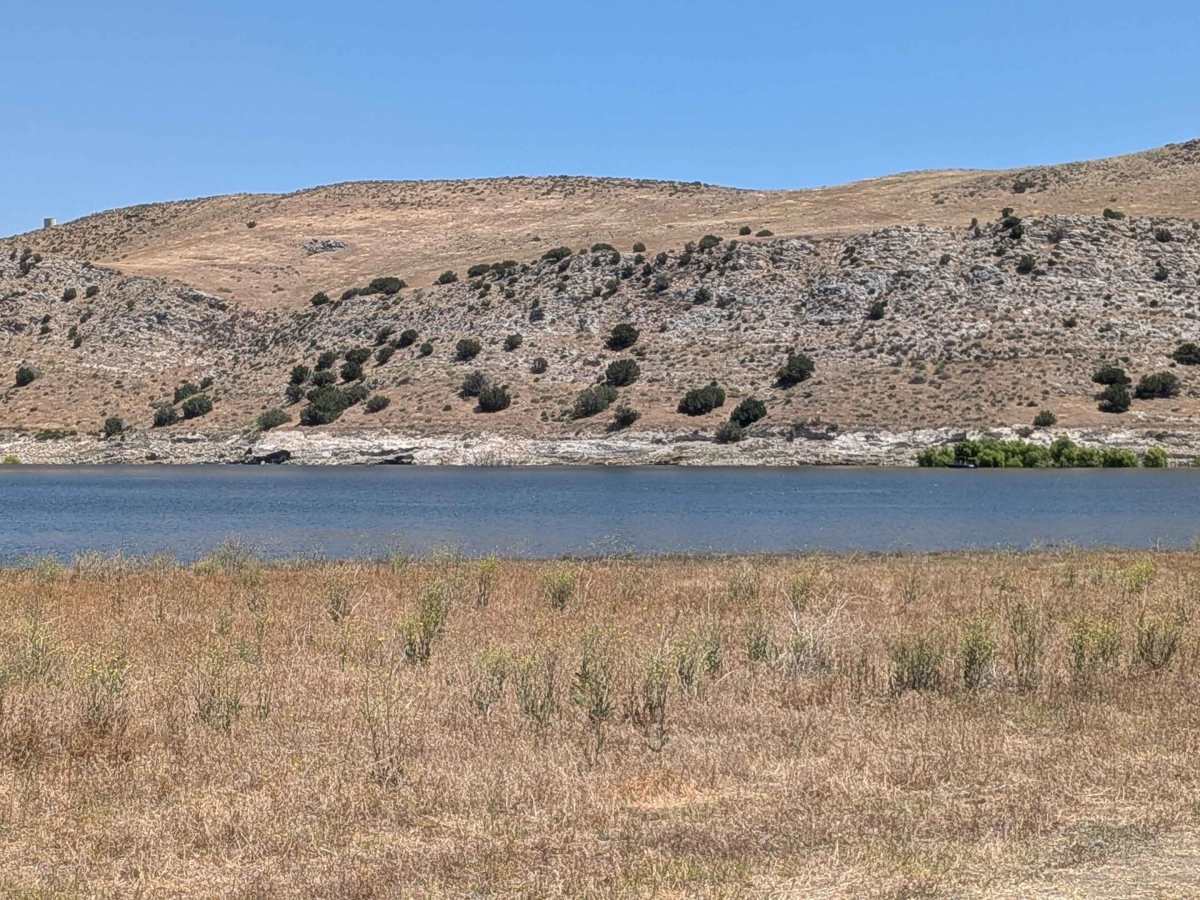 Kissack Cove trail photo