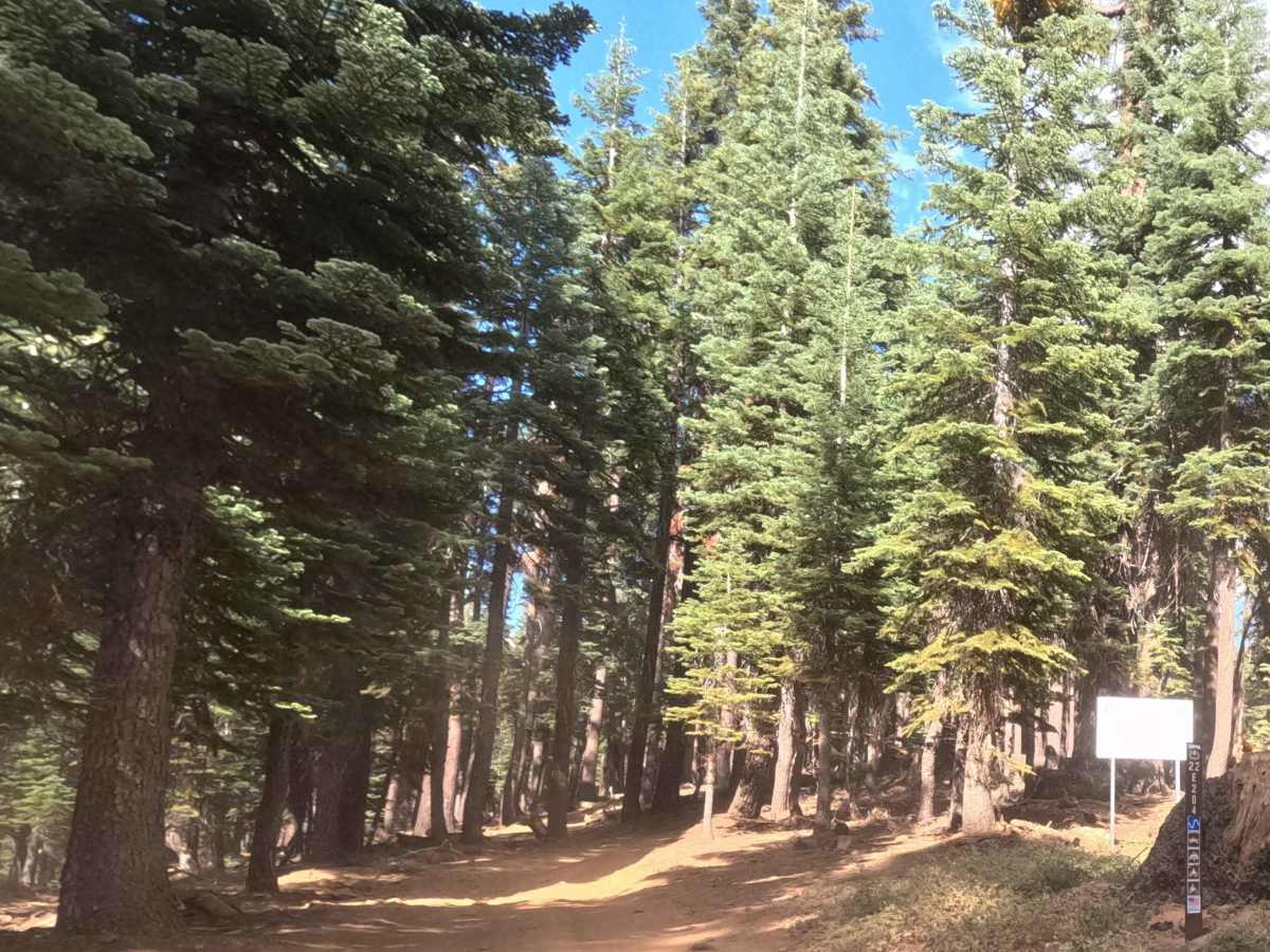 Iron Lakes Trail - FS 22E204 photo 4