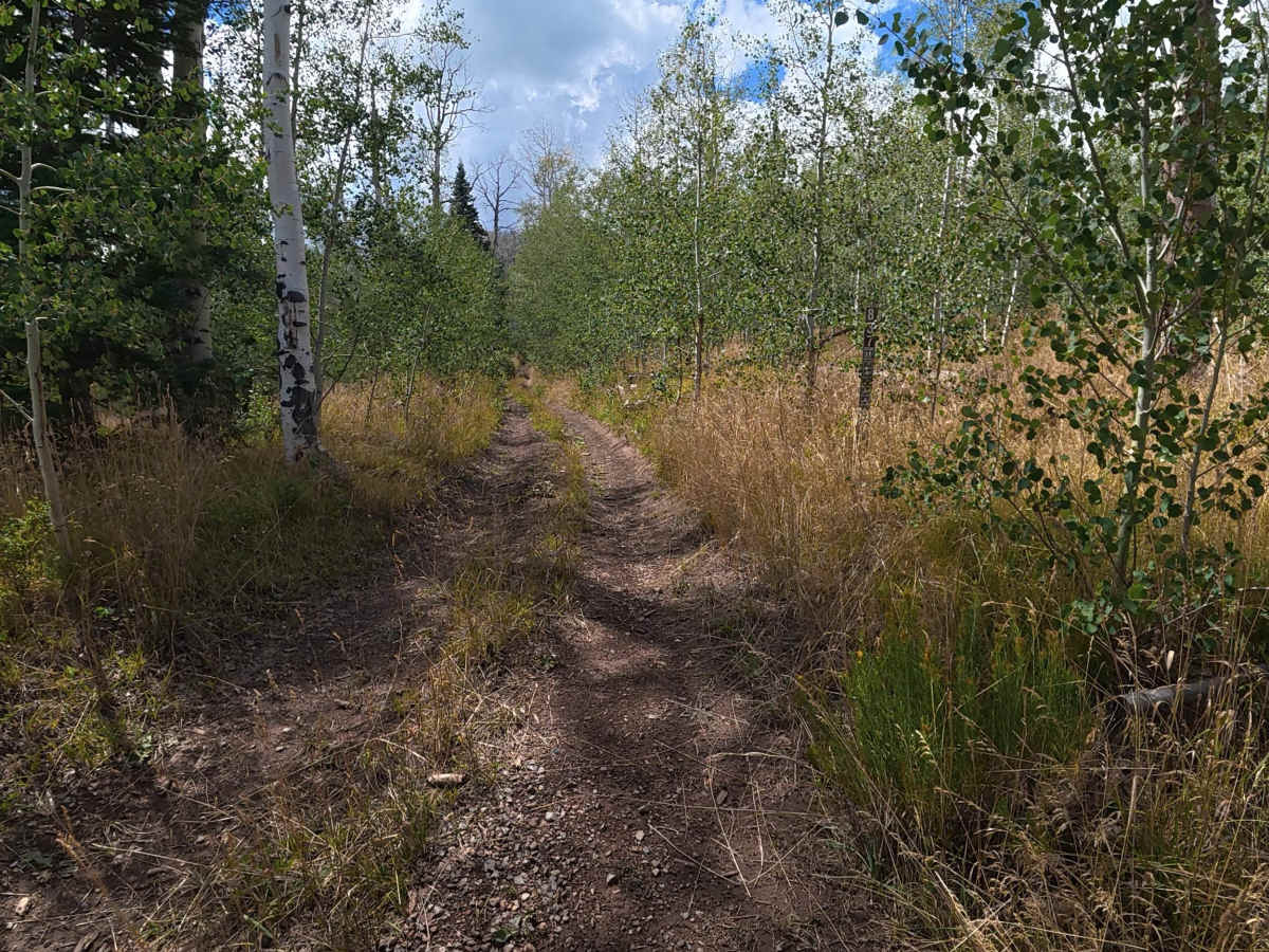 Middle Rifle Road - FS 837 photo 3