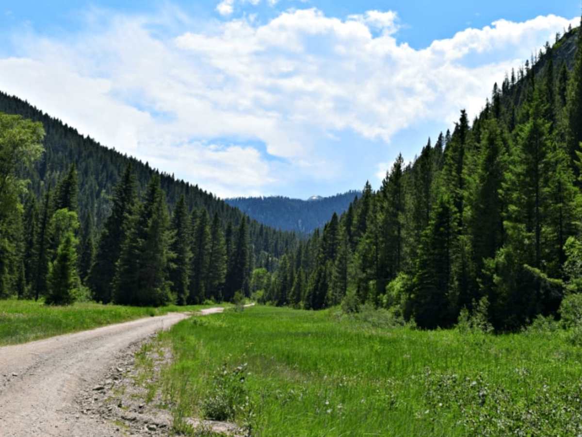 Squaw Creek photo 4