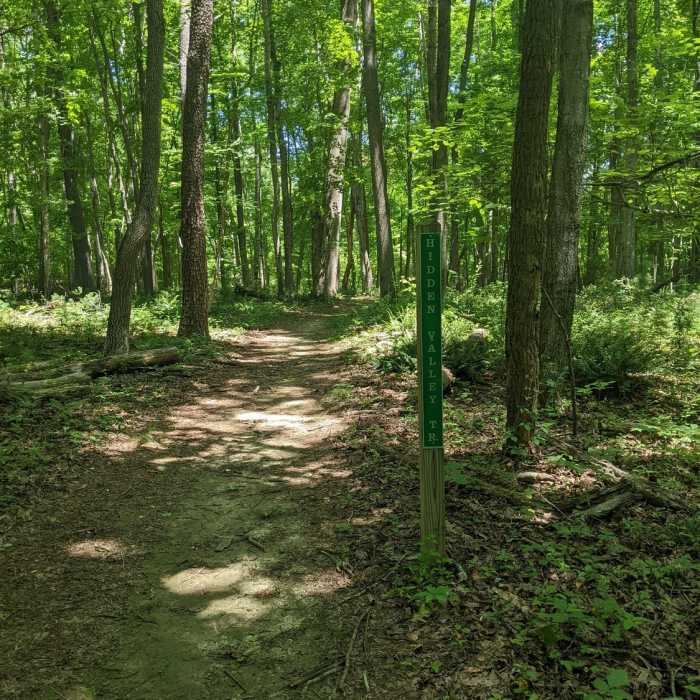 Near Shady Ridge Loop