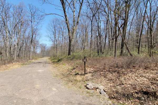 Flat Trail
