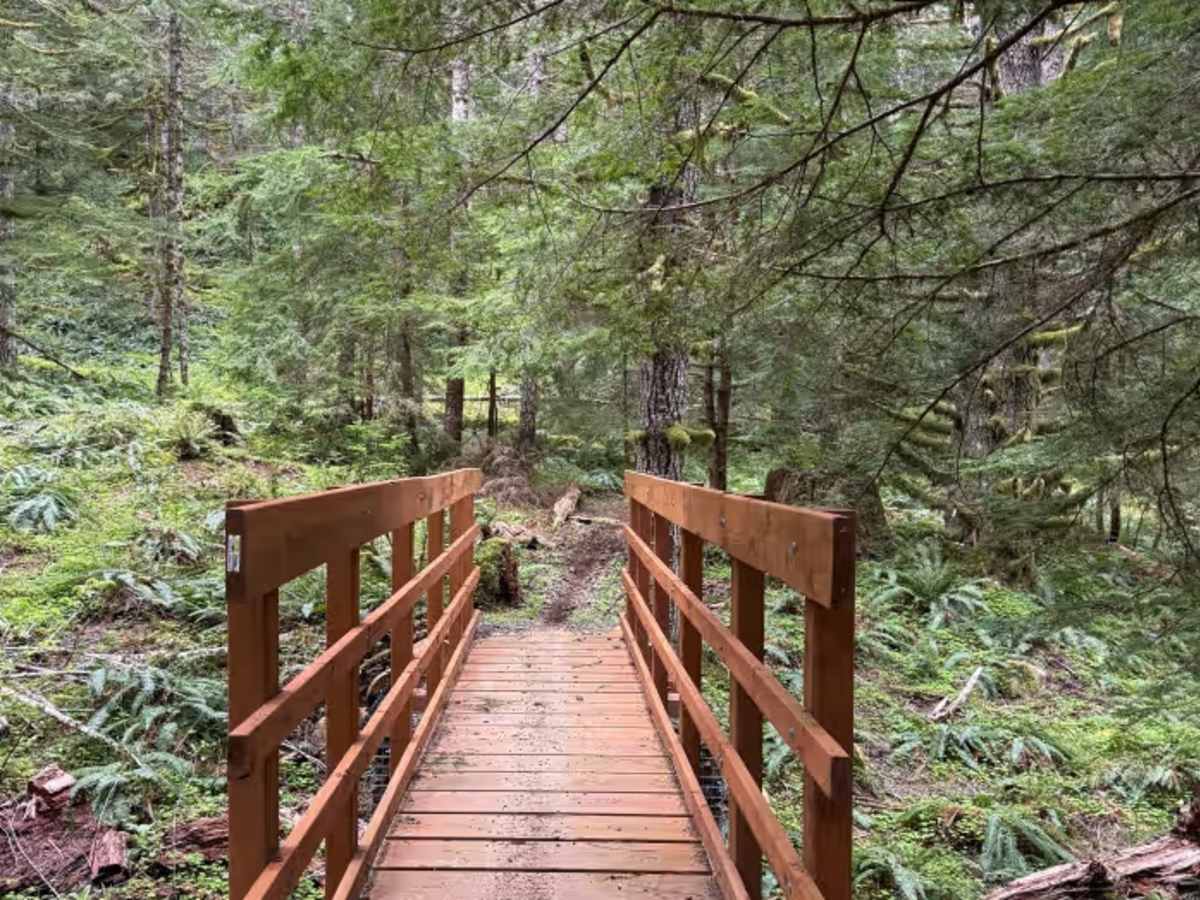 Ginger Creek Access Loop photo 4